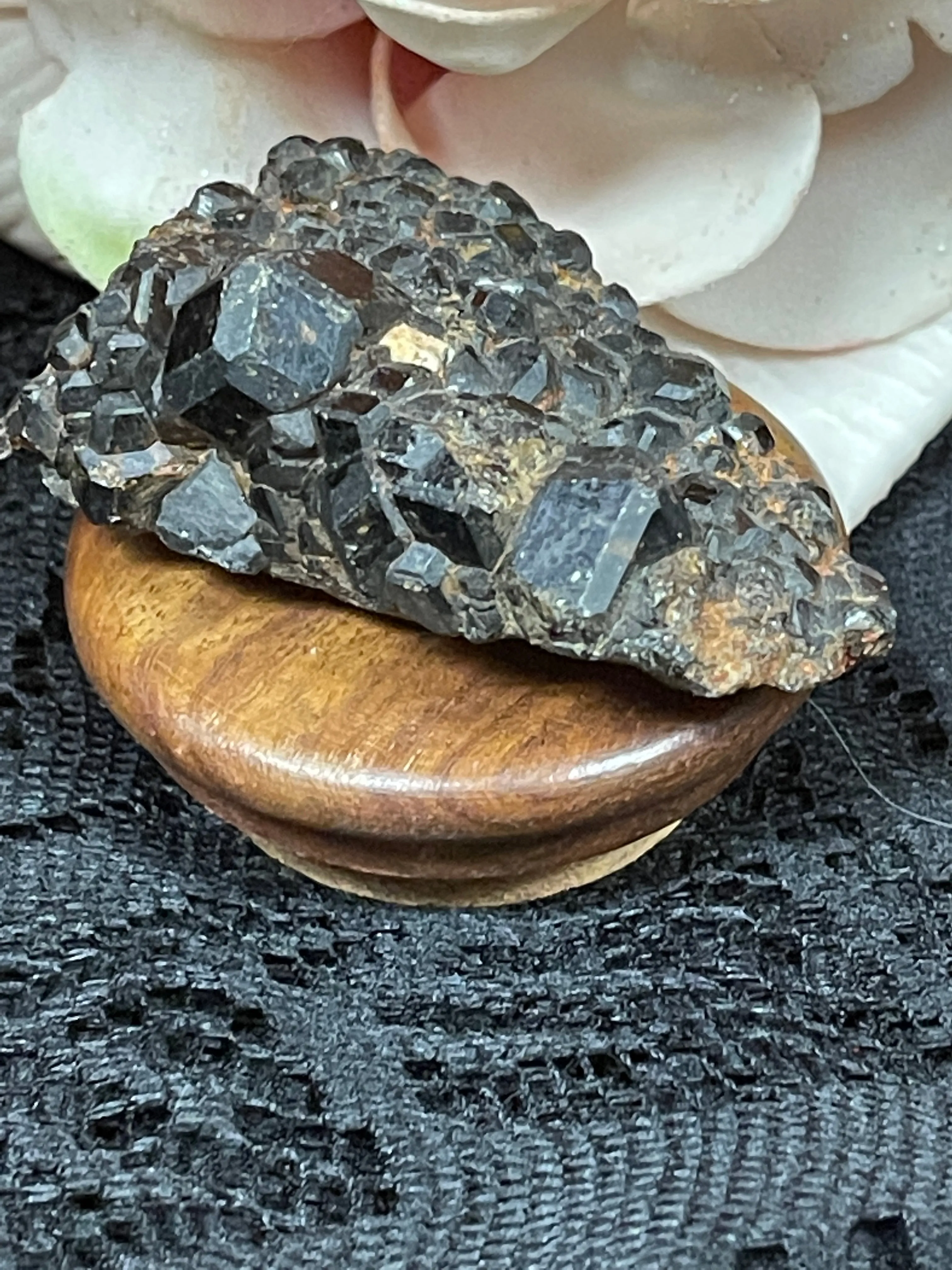 Black Garnet ( Melanite ) Clusters