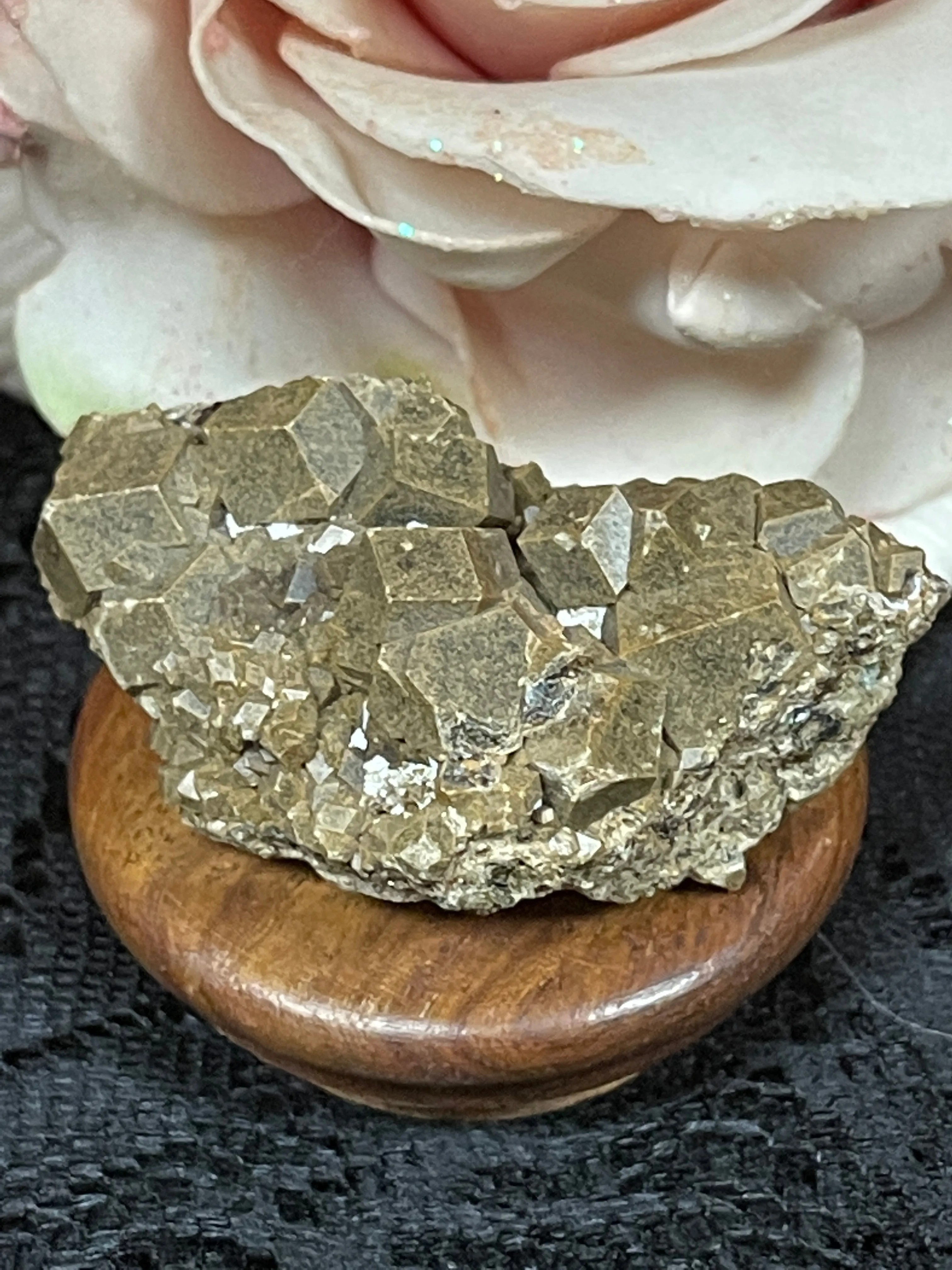 Black Garnet ( Melanite ) Clusters