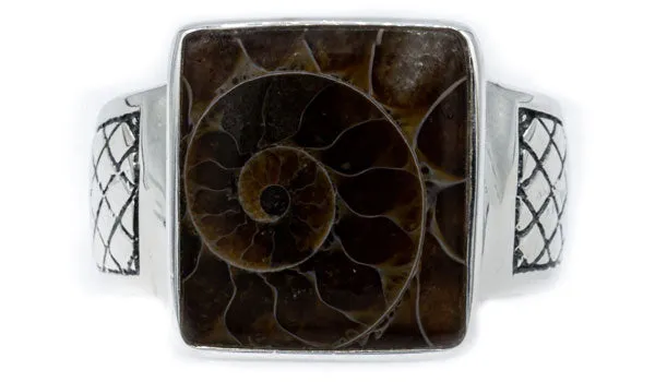 Men's Sterling Silver Ammonite Fossil Signet Ring