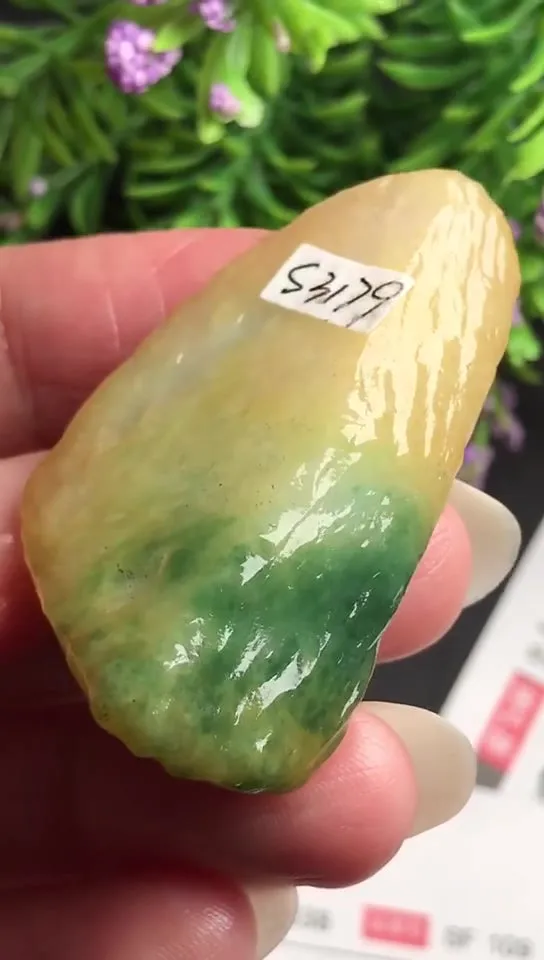 Natural Jade Rough Jadeite Raw (4.5x2.5x1.2cm)-S3179